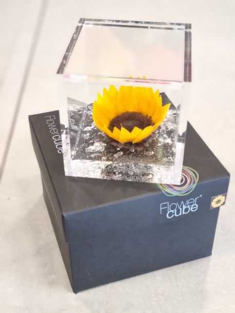 GIRASOLE STABILIZZATO FLOWER CUBE PICCOLO